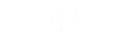 Smart Service Almere